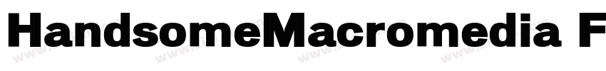 HandsomeMacromedia F字体转换